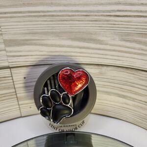 Vent visor clip pet